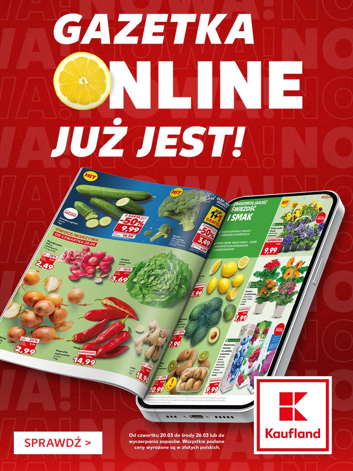 Gazetka promocyjna Praktiker str. 33
