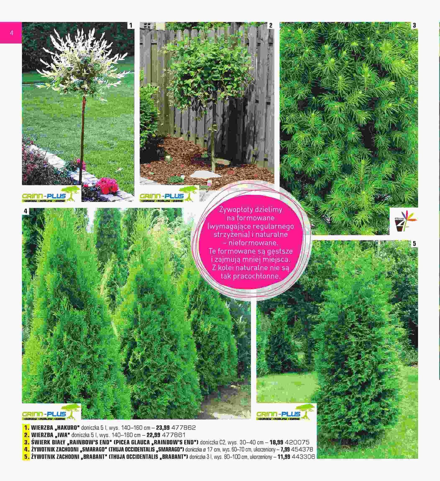 Gazetka promocyjna Praktiker str. 4