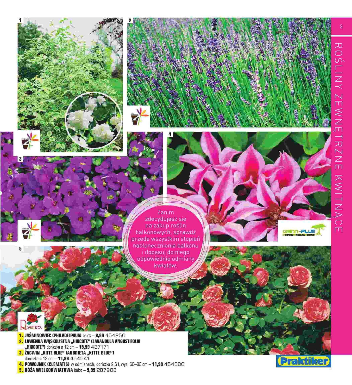 Gazetka promocyjna Praktiker str. 3