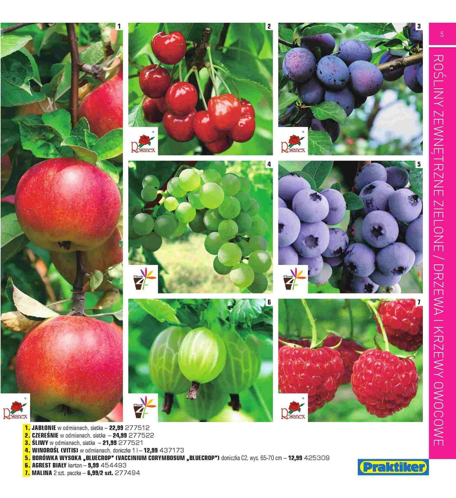 Gazetka promocyjna Praktiker str. 5