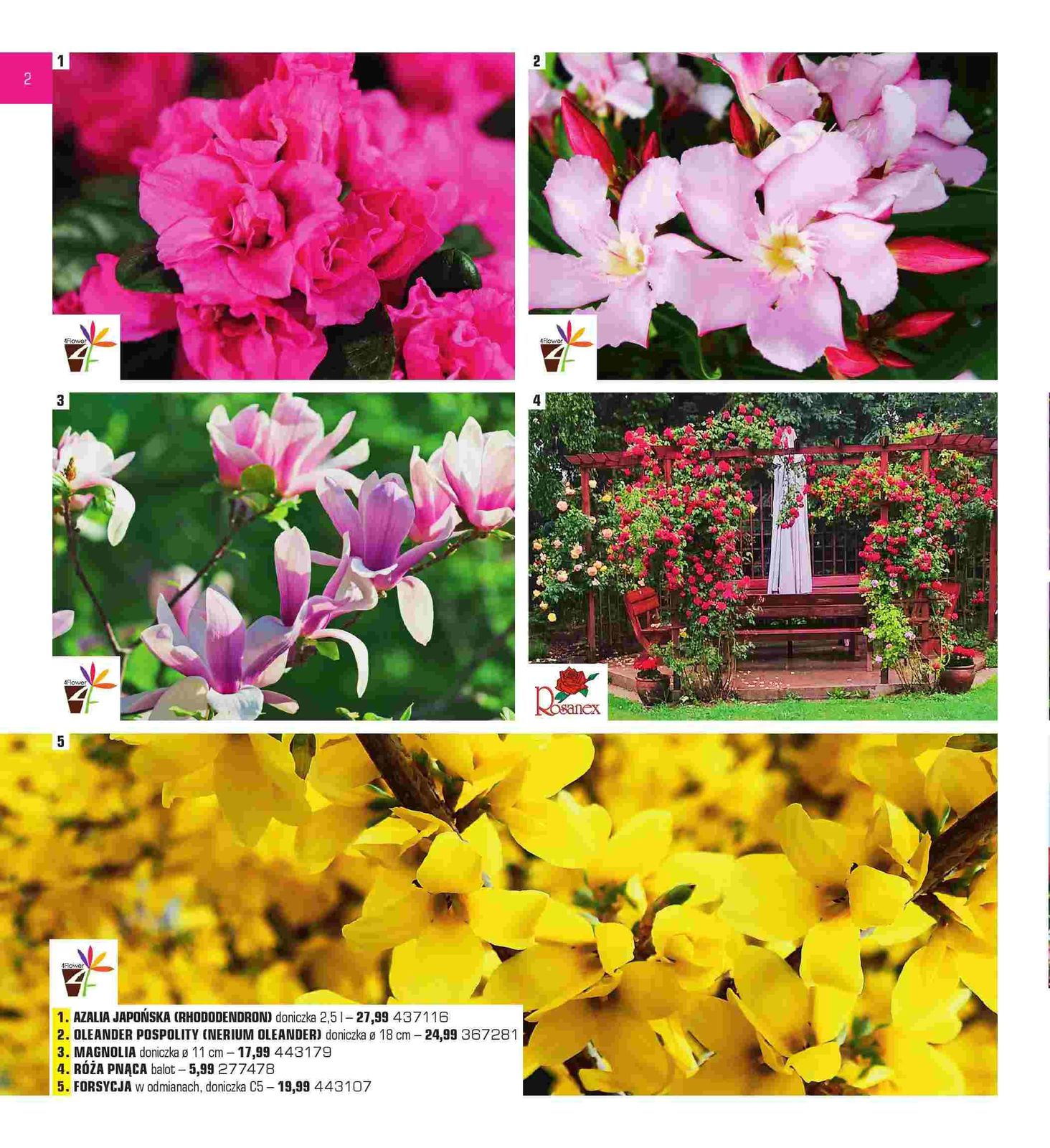 Gazetka promocyjna Praktiker str. 2