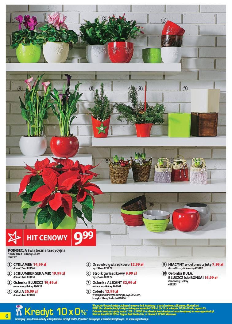 Gazetka promocyjna Praktiker str. 6